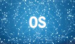 Operating System